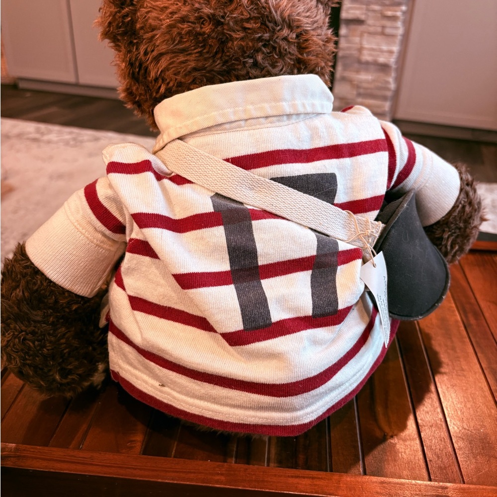 American Eagle Outfitters Rosco the Rugby Bear Plush NWT 18” - Picture 2 of 5